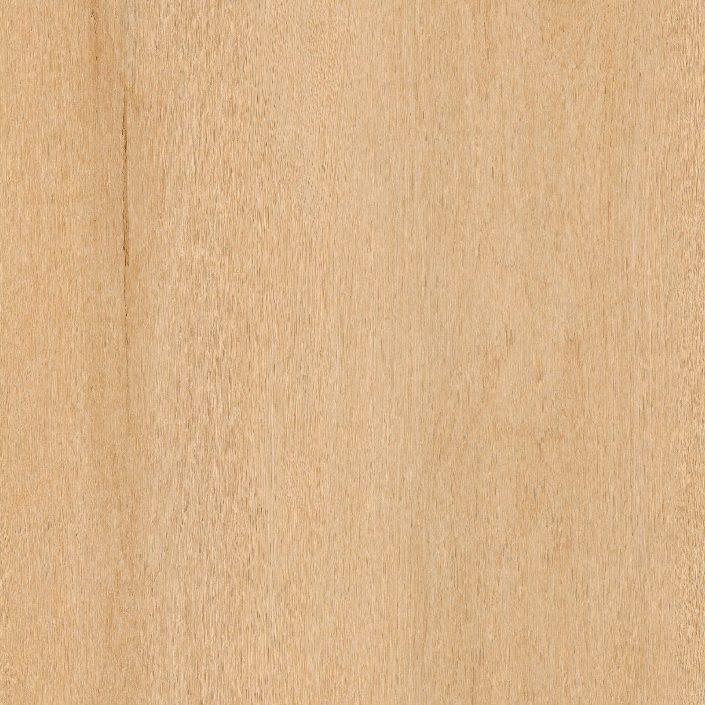 Blonde Oak