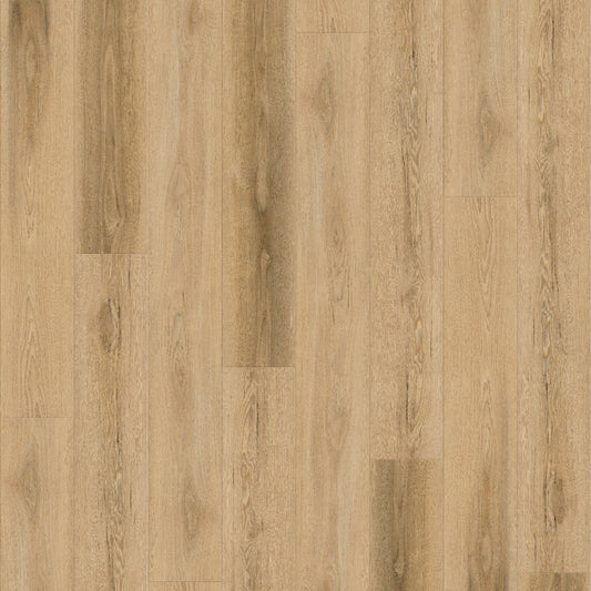 Maple